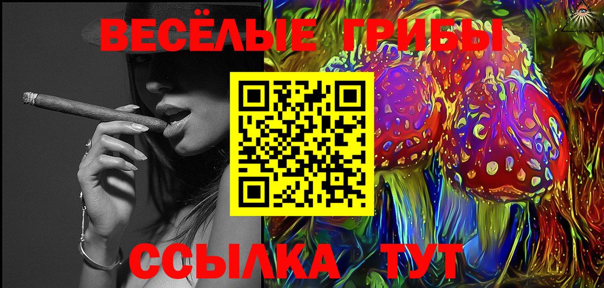 Галлюциногенные грибы мицелий  Вход с VPN  Новозыбков 